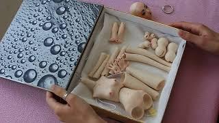 Tempest Doll bjd assembling - "Poison" | collector bjd doll full set