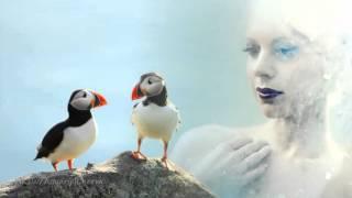 Challenge From Heaven - 2002