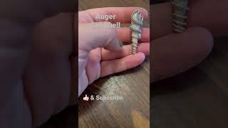 Shelling Florida Wire Wrapped Seashell Pt.1 my thumbs are numb but WOW!!! Came out Great#seashells