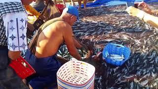 Costa de Caparica // Almada // Portugal fish // Рыбалка в капарике, возле лиссабона