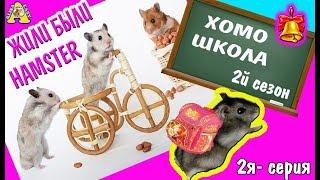 Сериал ЖИЛИ  БЫЛИ Хомки Свинки Кот 2 часть / ХОМО-ШКОЛА / Alisa Easy Pets