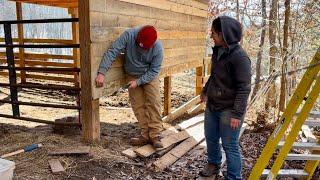 The Cows Say Thank You | Homestead Vlog | January 20, 2025