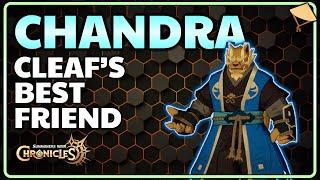 CHANDRA IS ACTUALLY NUTS - Summoners War Chronicles - Water Beast Monk