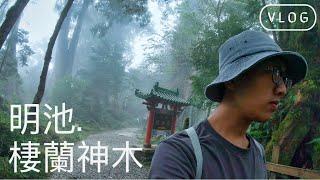 vlog | Mingchi Cilan Resort：Asia's Largest Giant Tree Park | Yilan, Taiwan【4K】