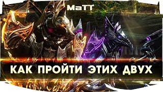 ArcheAge 6.5.3 - ПРОХОЖДЕНИЕ СВЕТЛОГО И ТЕМНОГО БОССА СВЯТИЛИЩА ЭФЕНОВ 【ГАЙД】