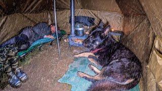 Heavy Rain Camping in the Forest With Only a Tent and a Dog!