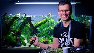 PLANTED TANK MAINTENANCE - SHAPING JOSH SIM'S AMAZING AQUASCAPE