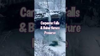 Wintertime at Carpenter Falls & Bahar Nature Preserve #dog #hiking #winter #waterfall