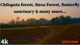 Full day trip around Chilapata forest, Buxa, butterfly sanctuary, sunset by the river #travel #bike