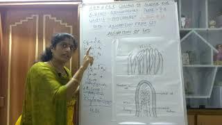 BIOCHEMISTRY PAPER VA LECTURE # 13