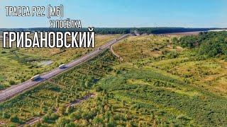 Окрестности посёлка ГРИБАНОВСКИЙ. Трасса М6. Пруды, поля и лес. | Воронежская область