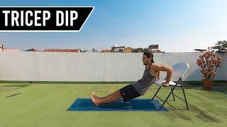 Triceps Dip - (Triceps) Body Weight Exercise Tutorials