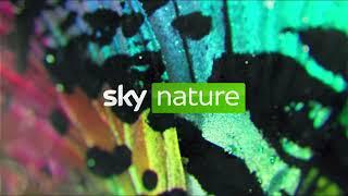 Sky Kids - Short Continuity - 1st Feburary 2023