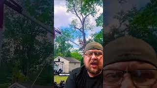 Dodging Darwin Tree Service￼