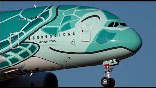 ANA Airbus A380 JA382A Landing at Narita 16R | NRT/RJAA | All Nippon Airways