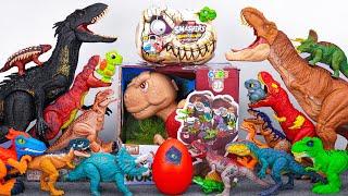 Jurassic World Unboxing Review | Giant Indoraptor Dino Eggs Trex Ankylosaurus Ceratosaurus | ASMR
