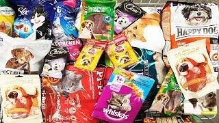 A Lot Of Candy for Cats and Dogs 2018 NEW #16 ASMR / АСМР Много сладостей для питомцев