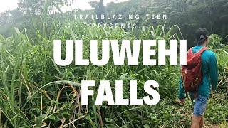 Kayaking to Kauai's Not So Hidden Gems: Uluwehi Falls (Secret Falls) & Fern Grotto Adventure