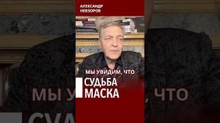 Повод подписаться, ссылка в описании #невзоров