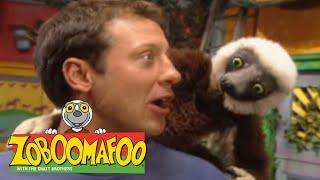 Zoboomafoo with the Kratt Brothers! POP GOES THE TIGER | Full Episodes Compilation