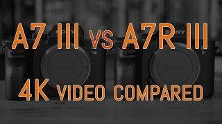 Sony A7 III vs A7R III - 4K Video Comparison