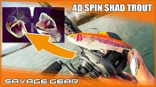  4D SPIN SHAD TROUT von Savage Gear mit Tom Heyer