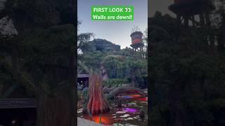 Princess Tiana’s Bayou Adventure Ride is ALMOST there!! #tianasbayouadventure #splashmountain