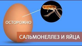 ОСТОРОЖНО: САЛЬМОНЕЛЛЕЗ и ЯЙЦА! (часть 5) \ Все про куриные яйца - должен знать каждый о сальмонелле