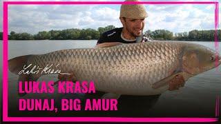 Lukas Krasa - Dunaj BIG AMUR