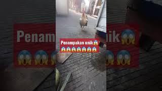 #realvideo #penampakananeh #shorts