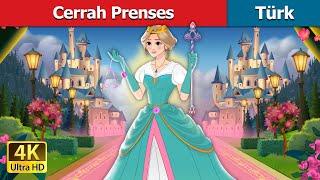 Cerrah Prenses | The Surgeon Princess in Turkish | @TürkiyeFairyTales