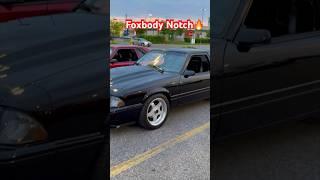 FOXBODY NOTCHBACK with ROH Wheels  Toronto Foxbody Club #shorts #foxbody #mustang