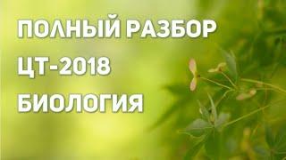 ПОЛНЫЙ РАЗБОР ЦТ-2018 / БИОЛОГИЯ / ЦТ 2020