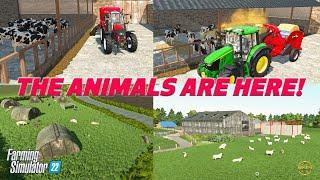 The Northern Farms now has ANIMALS! I'm building a FS22 Map, check out the progress!