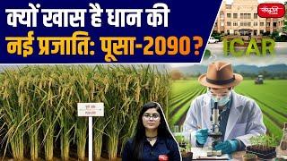 Why is the New Variety of rice Special : Pusa-2090? | Sanskriti IAS | UPSC