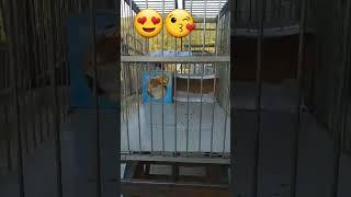 So cute