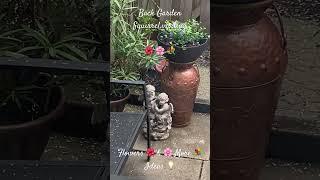 Backyard Garden 🪴 Squirrel visiting    Flowers  &  More  Ideas 