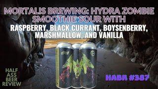 Mortalis Brewing Company | Hydra Zombie Sour Ale | Craft Beer Review