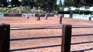 A child tries to ride a panicked fleeing sheep