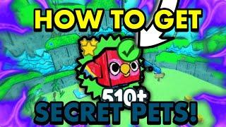 How To Get SECRET PETS! - Pet Simulator X | Doodle World