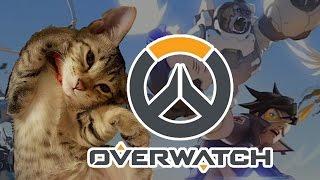 Xargon 【7/6】Overwatch【上】