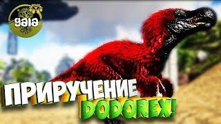 Приручение Friendly Dodorex!  - Ark Survival Evolved Gaia #4