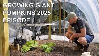 Growing Giant Pumpkins 2025: Episode 1