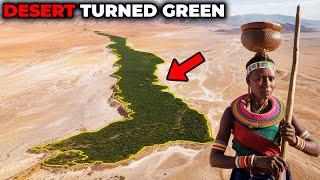 They Restored a Desert Without Planting a Single Tree
