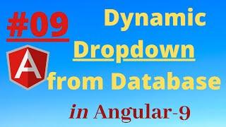 How to create Dynamic dropdown From Database in Angular 9 and web api 3.0|Edit And Update| Part - 9