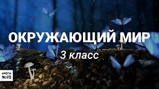 3 класс -Окружающий мир - Путешествие к Пушкину - 09.04.2020