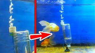 Free Energy Air Pump  for fish tank //  Aquarium Air pump without electricity