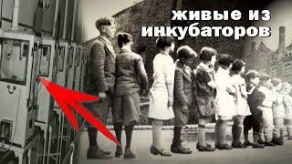 История обмана   Откуда ЗАВОЗИЛИ ЛЮДЕЙ  #5