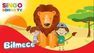BİLMECE (ANİMASYON)  - SİNGOSONGO TV I ÇOCUK ŞARKILARI 