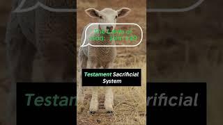The Lamb of God John 1:29 #jesuschrist #verseoftheday  #thelivingword